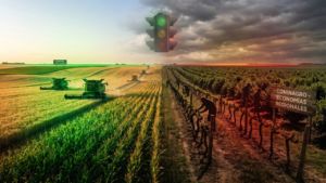 El semáforo de Coninagro expone la brecha del agro argentino: récord de divisas por granos y carne frente al deterioro de márgenes en las producciones del interior.